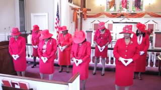 Womens Dance Ministry of Franklin St Johns United Methodist Church Newark NJ [upl. by Nnaacissej]