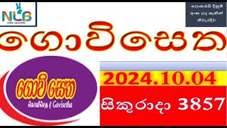 govisetha Lottery Results Today202410043857 Check the Latest Winning Number Nowquotlottery [upl. by Holle]