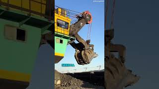 Coal loading excavator machine  shorts youtubeshorts [upl. by Kotto339]