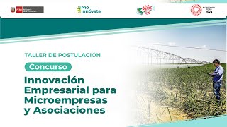 III Taller de postulación al Concurso Innovación Empresarial para Microempresas y Asociaciones [upl. by Sura130]