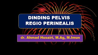 Dinding Pelvis amp Regio Perinealis [upl. by Zerelda]