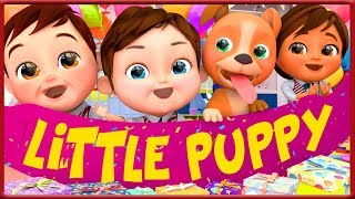 This Little Puppy  The BEST SONGS For Children  Banana Cartoon Original Songs [upl. by Johathan]