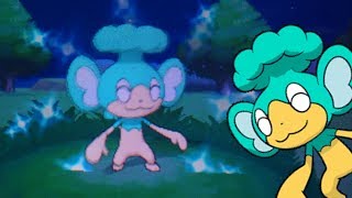 Random Shiny Panpour  Pokemon Y  Flotajou Chromatique Hasard [upl. by Haonam]