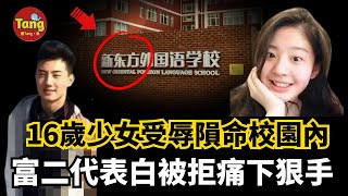 名校花季少女受辱隕命教室，富二代男生表白被拒後痛下狠手！私立雙語“新東方”學校刑事案始末，校方態度讓人心寒  真實案件 唐真探【唐唐說每週更新】 [upl. by Ange]