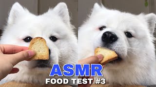 Dog Reviews Different Types of Food  Maya Monch Mission 3 [upl. by Aixela]