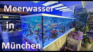 MEERWASSER AQUARISTIK in München  Das ist die Riffgärtnerei [upl. by Amarette]