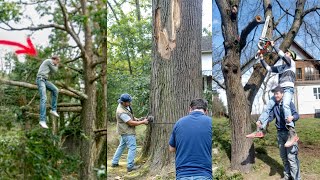 Funniest Tree Cutting Fails 14 [upl. by Sinnylg979]