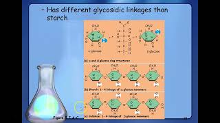 4 Macromolecules Carbohydrates and Lipids [upl. by Cindelyn]