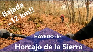 Horcajo de la Sierra  Madrid mtb [upl. by Nnylrats]