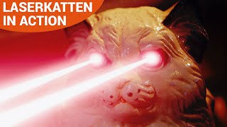 Katt med laser hjälper till i Ingrids Life Hacks – REA [upl. by Seilenna353]