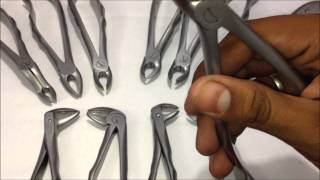 Tooth Extraction Forceps  Upper and Lower 12 Forceps Kit  GDC [upl. by Horace232]