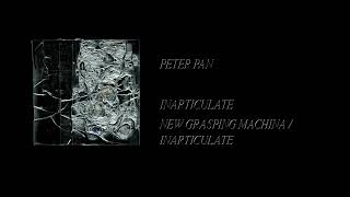 New Grasping Machina  Inarticulate  New Grasping Machina  Inarticulate Full Cassette Rip [upl. by Neelat]