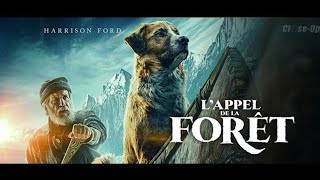 LAppel de la forêt  bandeannonce 2020 [upl. by Searle508]