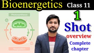 Bioenergetics 1 shot overview class 11 biology by Irtisam Biology [upl. by Dachi]