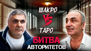 Шакро против Таро как старые друзья стали злейшими врагами [upl. by Awahsoj]