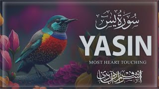 Surah Yaseen amp Surah Rahman  Powerful Quran Tilawat for Daily Blessings Episode 02 [upl. by Armalda]