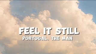 Portugal The Man  Feel It Still female voice remake cover with lyrics [upl. by Popper]