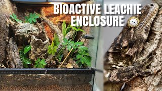 Setting Up A Bioactive Leachianus Gecko Enclosure  Upgrade For Chaos [upl. by Pears]