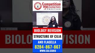 Biology Revision Master the Structure of Cilia and Flagella – Chandigarh Coaching Explained [upl. by Shear848]