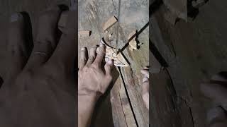 woodworking carpenting wood carpentry woodcarving carpentary diy carpentrylife [upl. by Tilden71]