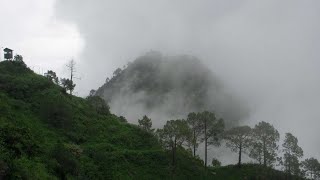 34 Biswa plot for sale near kasauli  kanda road  metalled road Himachal819 [upl. by Naihtniroc699]