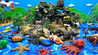 Diorama Animal Island With Ocean Animals  Shark Dolphin Tiger monkey Octopus [upl. by Llertrac275]