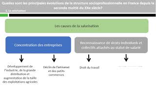 Quelles sont les principales évolutions de la structure socioprofessionnelle [upl. by Sauer]