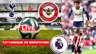 Tottenham vs Brentford 31 Live Premier League EPL Football Match Today Score Highlights Spurs FC [upl. by Franzoni92]