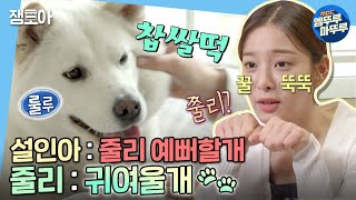 나 혼자 산다 이렇게 귀여우면 안 쥘리나 줄리😘집에서 꽁냥대는 설인아와 줄리🐕  설인아 줄리 MBC220429방송 [upl. by Nyssa]