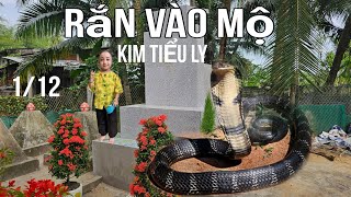 Giật mình Rắn bò vào mộ Kim Tiểu Ly trong ngày cúng thất tuần thứ 2  Con nuôi NSƯT Kim Tiểu Ly [upl. by Paul]