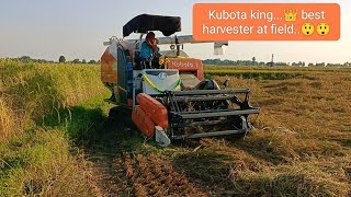 Kubota king pro👑Best harvester in field🤩🤩 [upl. by Aretak]