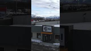 Discover ESI Alaska’s New Anchorage Showroom shorts heavyequipment customerservice [upl. by Yendis779]