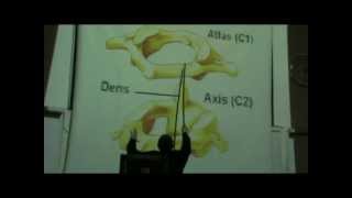 Dr Sherif Glal  Deep lymph nodesjoints of AtlasampAxis [upl. by Carson]