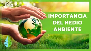 La IMPORTANCIA de CUIDAR el MEDIO AMBIENTE 🌏🌿 [upl. by Oileve]