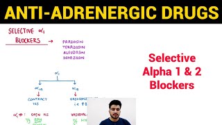 Autonomic Pharmacology  19  Selective Alpha 1 amp 2 Blockers  EOMS [upl. by Kamerman]