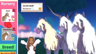 How To Always Successfully Breed GLOWING Manes and Patterns in Horse Life Roblox [upl. by Eciral]