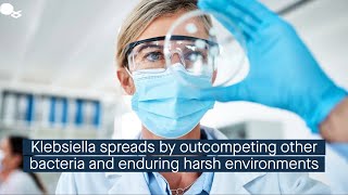 Outcompeting other bacterial species and surviving harsh conditions promotes Klebsiella transmis [upl. by Macur]