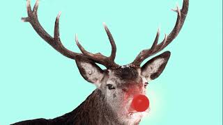 Rudolph the Red Nosed Reindeer Poem [upl. by Shurwood]