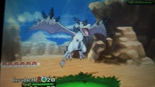 Pokemon XY Aerodactyl Mega Stone Location [upl. by Wehner955]