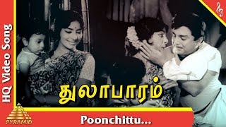 Poonchittu Video Song Thulabaram Tamil Movie Songs  Sharadha A V M Rajan Pyramid Music [upl. by Airret]