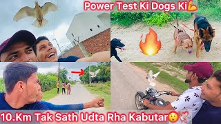 Bullet Ki Sath Udta Rha Ya Kabutar🕊️Sb Log Dekhta Rh Gye😲 Rock Or Simba Ki Power Test Kre🔥💪 [upl. by Notelrac]