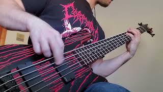 Cannibal Corpse  Dismembered and Molested  Bass Cover [upl. by Ainerbas]