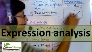 Gene expression analysis [upl. by Havstad230]