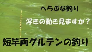 へらぶな釣り 両グルテン＆両グルダン＆両ダンゴの釣り紹介します！ ２０２４年４月度高槻無名会 ※様々なヘラ浮きの動き、短竿 浅タナカッツケ釣りでも動きます！ハイブリッドトップは次回に詳しく（NO１） [upl. by Bonine267]