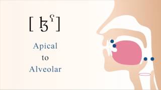 ɮˁ  voiced pharyngealized apical alveolar lateral fricative [upl. by Astrahan737]