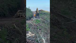 New generation high speed high efficiency wood cutting machine woodskills [upl. by Zoha]