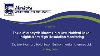 Toxic Microcystis Blooms in a LowNutrient Lake Insights from HighResolution Monitoring [upl. by Lainahtan180]