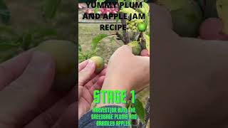 YUMMY PLUM AND APPLE JAM RECIPE🍏shorts [upl. by Nylidam]