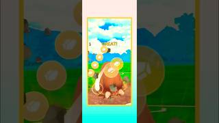 Piloswine 💥 Mandibuzz 💥 Shiny ✨ Azumarill 🌊  Pokemon go 💥 Pokemongo01 shorts pvp [upl. by Kristianson275]