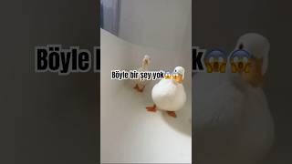 Peşimizi gene bırakmadı 😂🙂‍↕️ eğlence [upl. by Lessur]